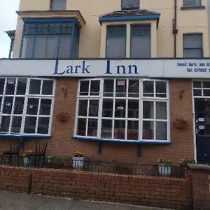 3* Guest house Lark